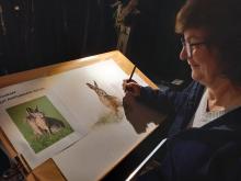 kunstenares Claire tekent wilde dieren