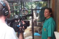 tv oost filmt bij Sos Wilde Dieren